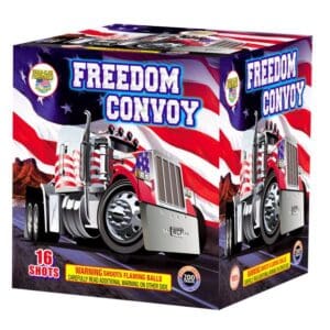 Freedom Convoy fireworks, 16 shots.