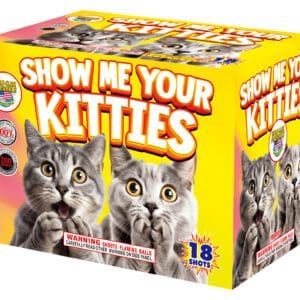 Show Me Your Kitties fireworks, 18 shots.