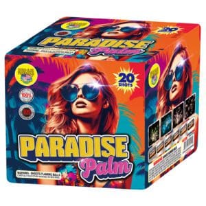 Fireworks box with colorful design and text.