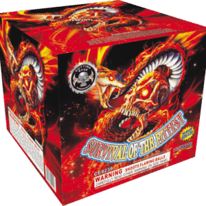 Fireworks box with fierce dragon illustration.