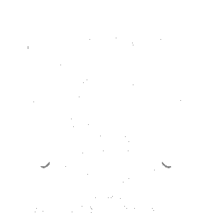 Russell's Fireworks logo with skull and rockets.