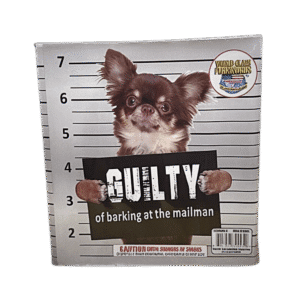Chihuahua mugshot with "Guilty" sign and text.
