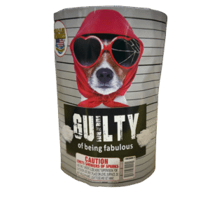 Dog in sunglasses, "Guilty of being fabulous.