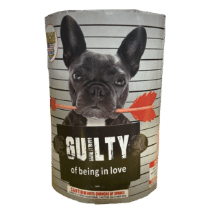 Dog with "Guilty of being in love" sign.