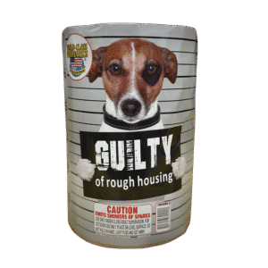 Dog with "Guilty of rough housing" sign.