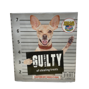 Dog posing like a criminal mugshot.