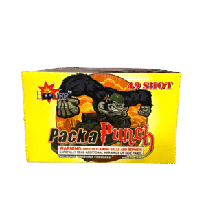 Fireworks box labeled "Pack a Punch" 49 shot.