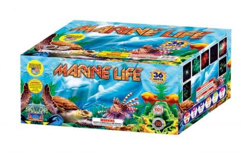 Fireworks box featuring marine life imagery.