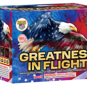 Greatness In Flight 1/1